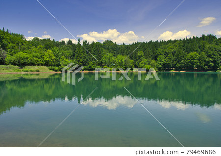 Uonuma City Kagamigaike in early summer 79469686