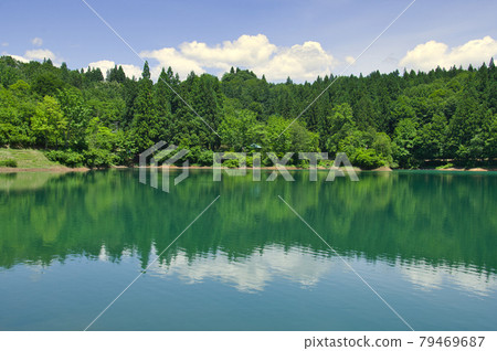 初夏的魚沼市火上池 79469687