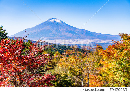 (Yamanashi Prefecture) Autumn leaves of the 20th song pass, Mt. Fuji covered with snow (Yamanashi Prefecture) Autumn leaves of the 20th song pass, Mt. Fuji covered with snow 79470985