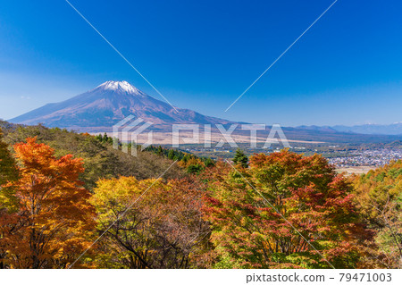 (山梨縣)第20歌關的紅葉,白雪覆蓋的富士山 (山梨縣)第20歌關的紅葉,白雪覆蓋的富士山 79471003