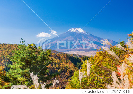 (山梨縣)第20歌關的紅葉,白雪覆蓋的富士山 (山梨縣)第20歌關的紅葉,白雪覆蓋的富士山 79471016