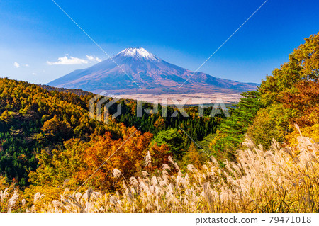 (Yamanashi Prefecture) Autumn leaves of the 20th song pass, Mt. Fuji covered with snow (Yamanashi Prefecture) Autumn leaves of the 20th song pass, Mt. Fuji covered with snow 79471018