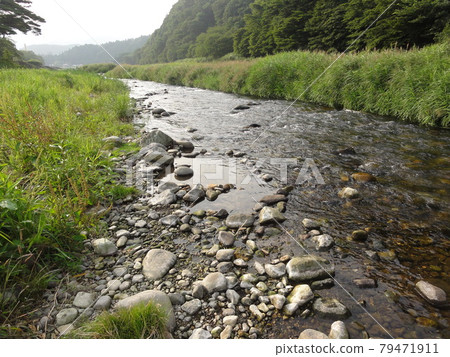 Mountain stream that feels early autumn 79471911