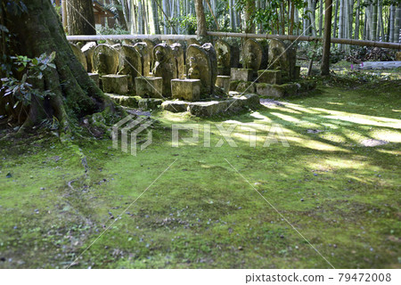 赤山芝寧羅漢和石佛 赤山芝寧羅漢和石佛 79472008