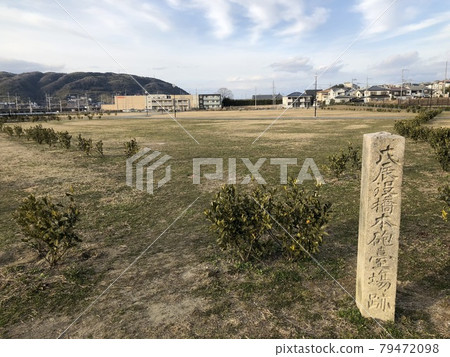 橋本台場破壞戊辰戰爭 79472098