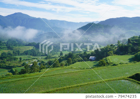 日本吉信梯田的原始風景 日本吉信梯田的原始風景 79474235