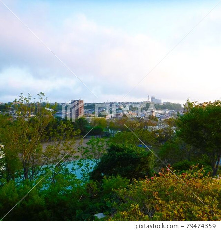 北海道苫小牧市的山丘上的風景 79474359