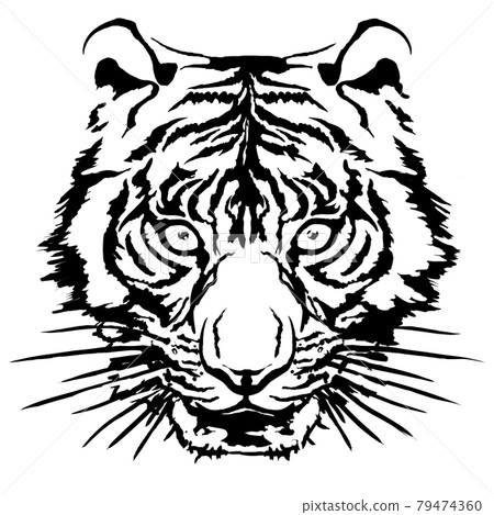 老虎臉朝上 79474360