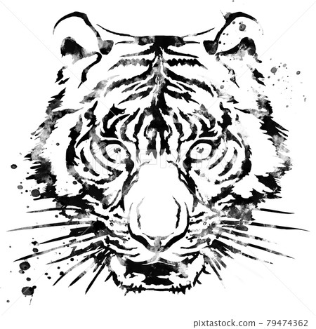 老虎臉朝上 79474362