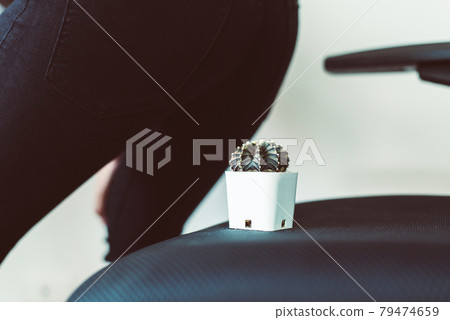Woman ass sit down on a cactus and suffering from hemorrhoids 79474659