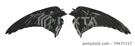 Angel wings isolated on white background with clipping path Angel wings isolated on white background with clipping path 79475317
