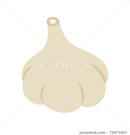 Illustration of garlic. A cute round vegetable garlic. Illustration of garlic. A cute round vegetable garlic. 79475665
