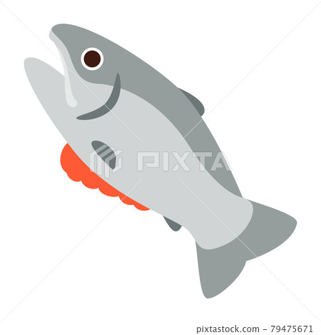 Salmon Illustrations