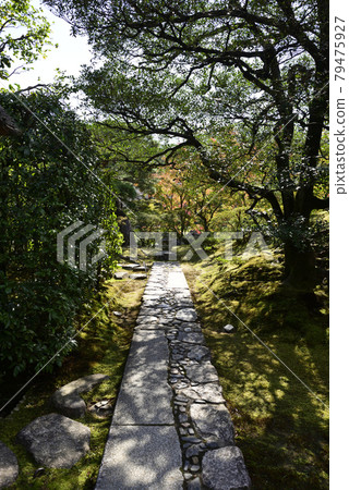 Katsura Rikyu outside the front stool "Stretching the line" 79475927