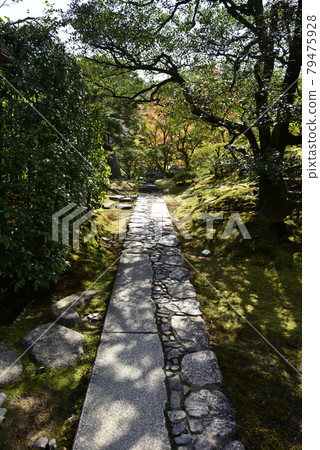 前凳外的Katsura Rikyu“拉伸線” 前凳外的Katsura Rikyu“拉伸線” 79475928