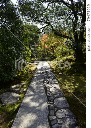 前凳外的Katsura Rikyu“拉伸線” 前凳外的Katsura Rikyu“拉伸線” 79475929