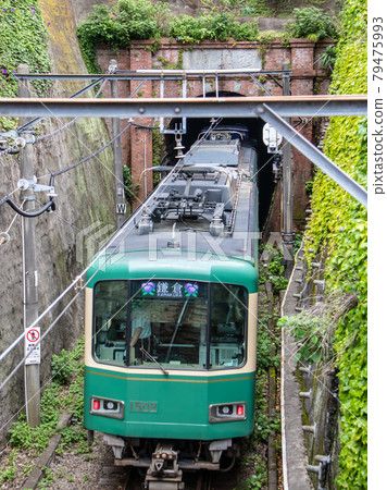 Enoshima Kamakura sightseeing Enoshima Kamakura sightseeing 79475993