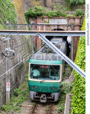 江之島鎌倉觀光 79475995