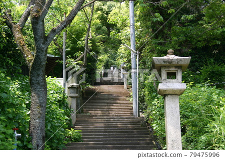 通往伊豆山神社的石階(靜岡縣熱海市) 通往伊豆山神社的石階(靜岡縣熱海市) 79475996