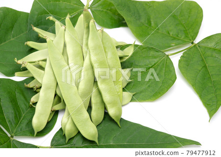 Morocco beans with leaves isolated on white background Morocco beans with leaves isolated on white background 79477912