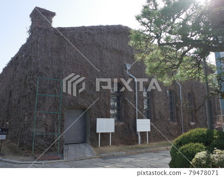 倉敷常春藤廣場 倉敷常春藤廣場 79478071