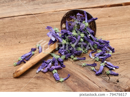 Flowers of dried Wild mallow, lat. Malva sylvestris. Flowers of dried Wild mallow, lat. Malva sylvestris. 79479817