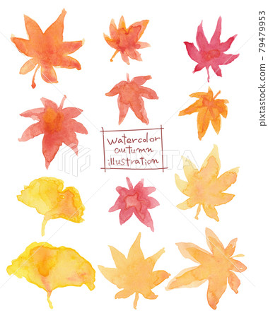 Watercolor hand-painted ginkgo and autumn leaves material illustration Watercolor hand-painted ginkgo and autumn leaves material illustration 79479953