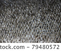 Fish Skin Close Up Structure Background 79480572