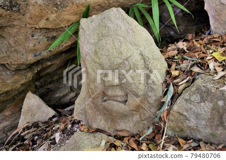Mysterious human face rock 79480706