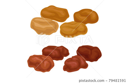 Sun Dried Fruit as Food with Sweet Taste and Nutritive Value Vector Set Sun Dried Fruit as Food with Sweet Taste and Nutritive Value Vector Set 79481591