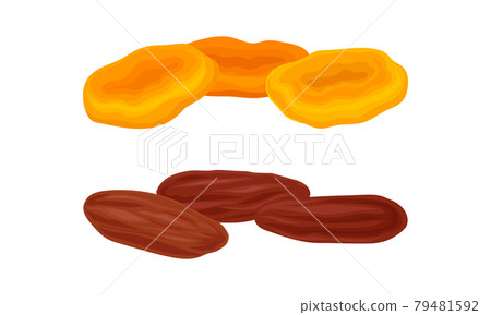 Sun Dried Fruit as Food with Sweet Taste and Nutritive Value Vector Set Sun Dried Fruit as Food with Sweet Taste and Nutritive Value Vector Set 79481592