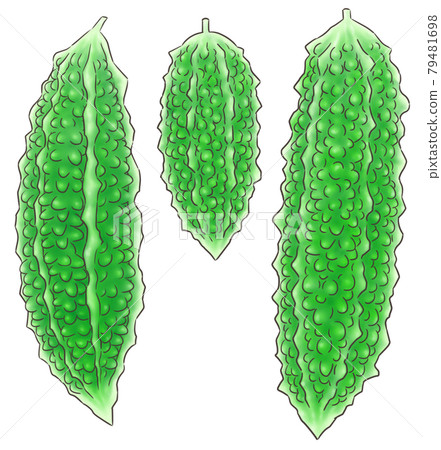 Bitter melon (1 color line) Bitter melon (1 color line) 79481698
