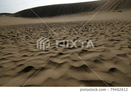 Tottori four seasons walk summer Tottori sand dunes Tottori four seasons walk summer Tottori sand dunes 79482612