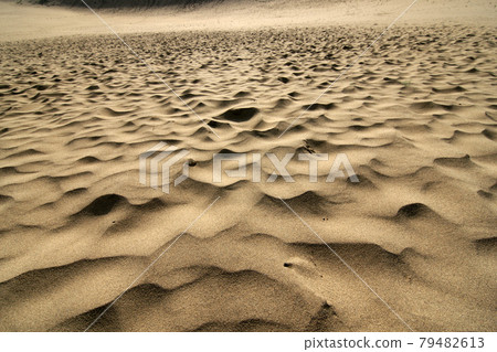 Tottori four seasons walk summer Tottori sand dunes Tottori four seasons walk summer Tottori sand dunes 79482613