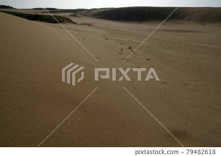 Tottori four seasons walk summer Tottori sand dunes Tottori four seasons walk summer Tottori sand dunes 79482618