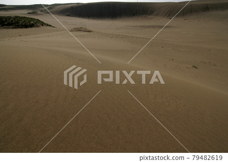 Tottori four seasons walk summer Tottori sand dunes Tottori four seasons walk summer Tottori sand dunes 79482619