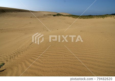 Tottori four seasons walk summer Tottori sand dunes 79482620
