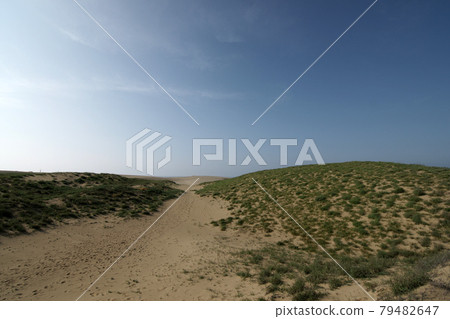 Tottori four seasons walk summer Tottori sand dunes 79482647