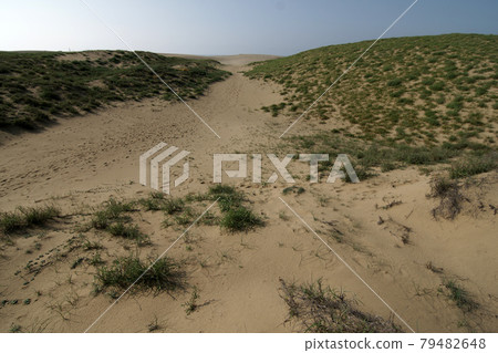 Tottori four seasons walk summer Tottori sand dunes Tottori four seasons walk summer Tottori sand dunes 79482648
