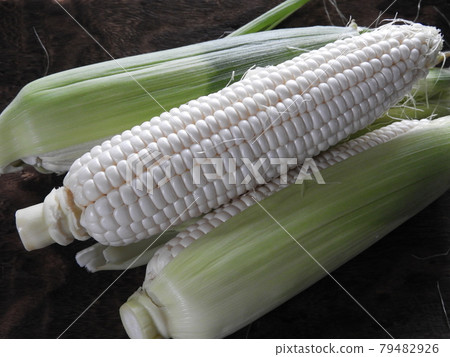 Corn Corn 79482926