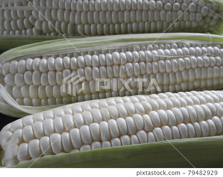 Corn Corn 79482929