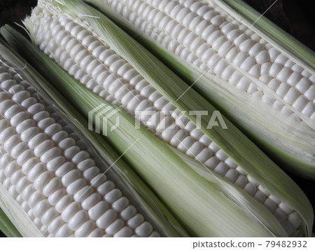 Corn 79482932