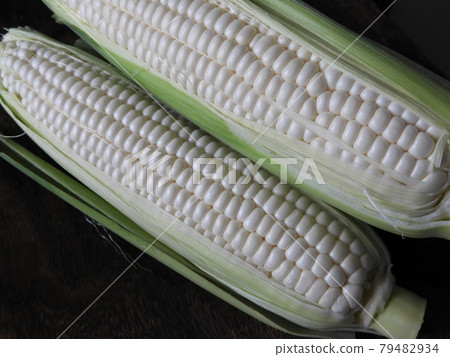 Corn 79482934