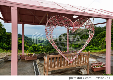 Iox Arosa Hydrangea Iox Arosa Hydrangea 79483264