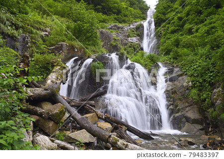 Hotokebara in front of Buddha (Hotokebara, Ono City, Fukui Prefecture) 79483397