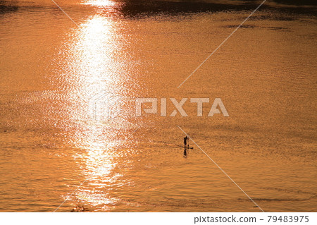 People who enjoy sap in the Seto Inland Sea 79483975