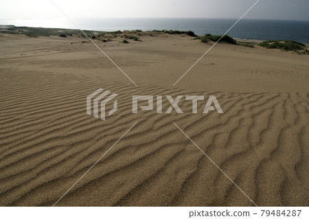 Tottori four seasons walk summer Tottori sand dunes 79484287