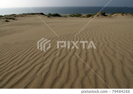 Tottori four seasons walk summer Tottori sand dunes Tottori four seasons walk summer Tottori sand dunes 79484288