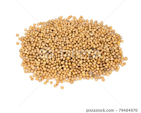 handful of white mustard seeds closeup on white handful of white mustard seeds closeup on white 79484970
