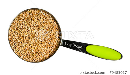 yellow proso millet seeds in measuring cup cutout 79485017